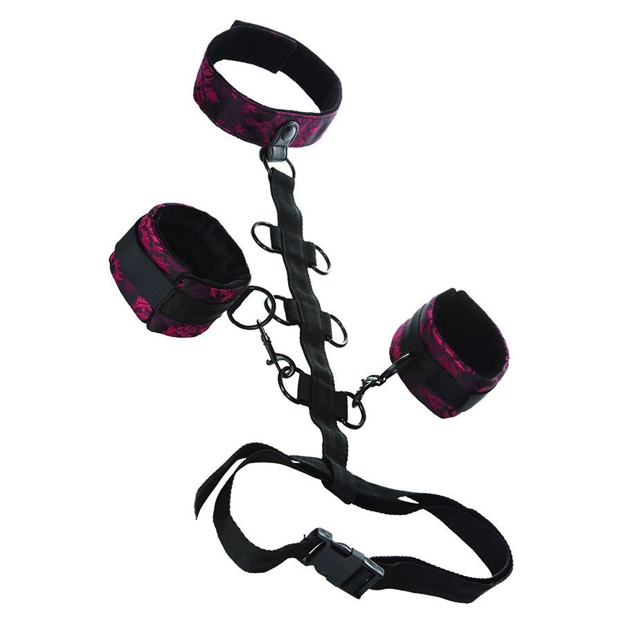 Calexotics Scandal Comporal Support With Neck