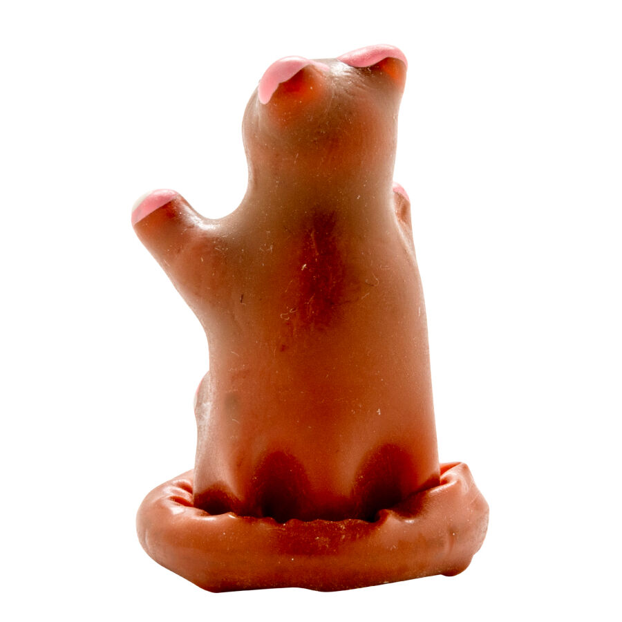 Condomerie Handpainted Novelty Teddy Bear - 4