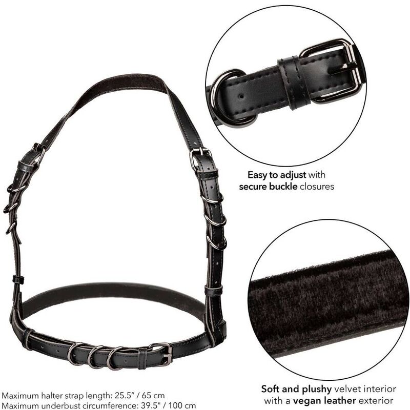 Calexotics Euphoria Halter Buckle Harness - 5
