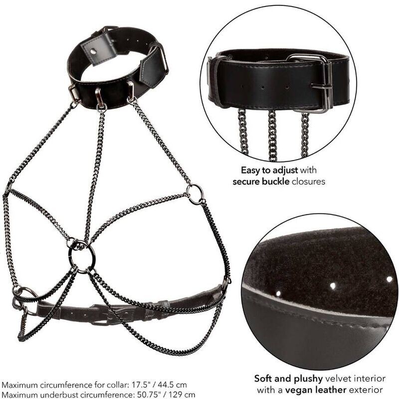 Calexotics Euphoria Plus Size Multi Chain Collar Harness