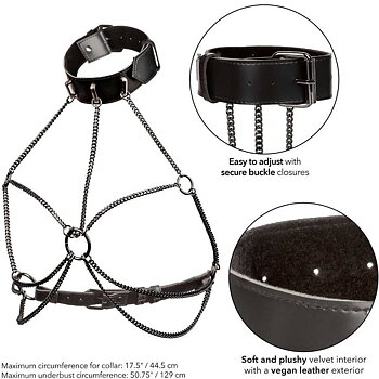 Calexotics Euphoria Plus Size Multi Chain Collar Harness