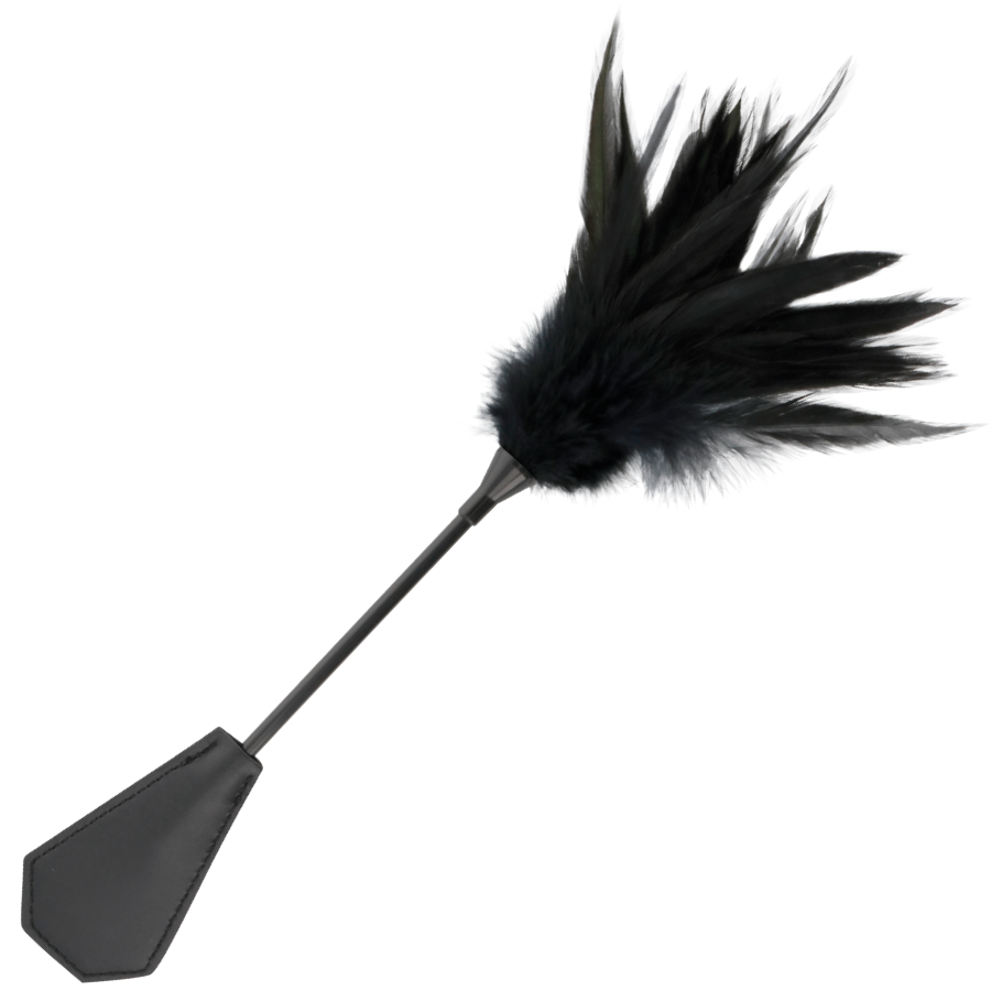 Darkness Sensations Feather Whip