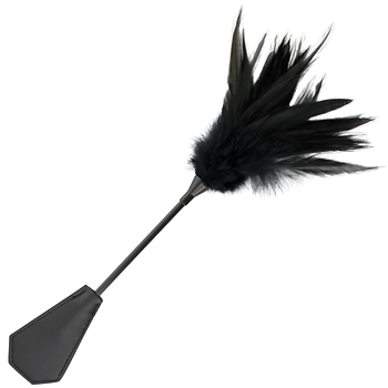 Darkness Sensations Feather Whip