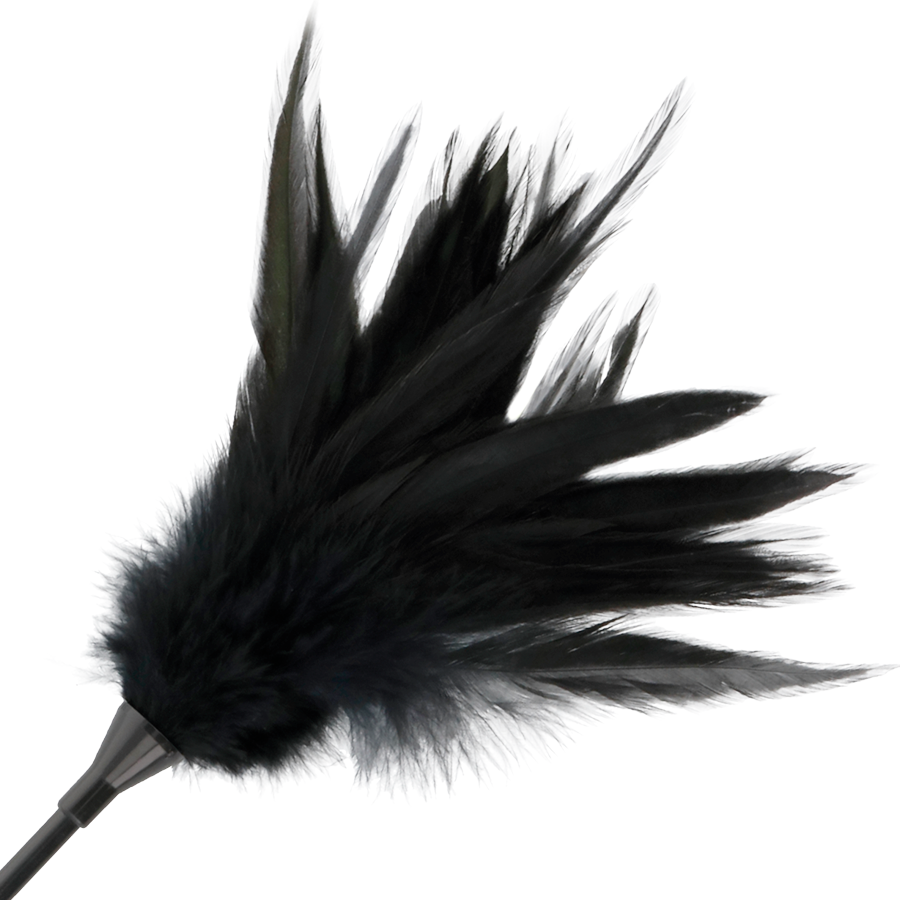 Darkness Sensations Feather Whip - 3