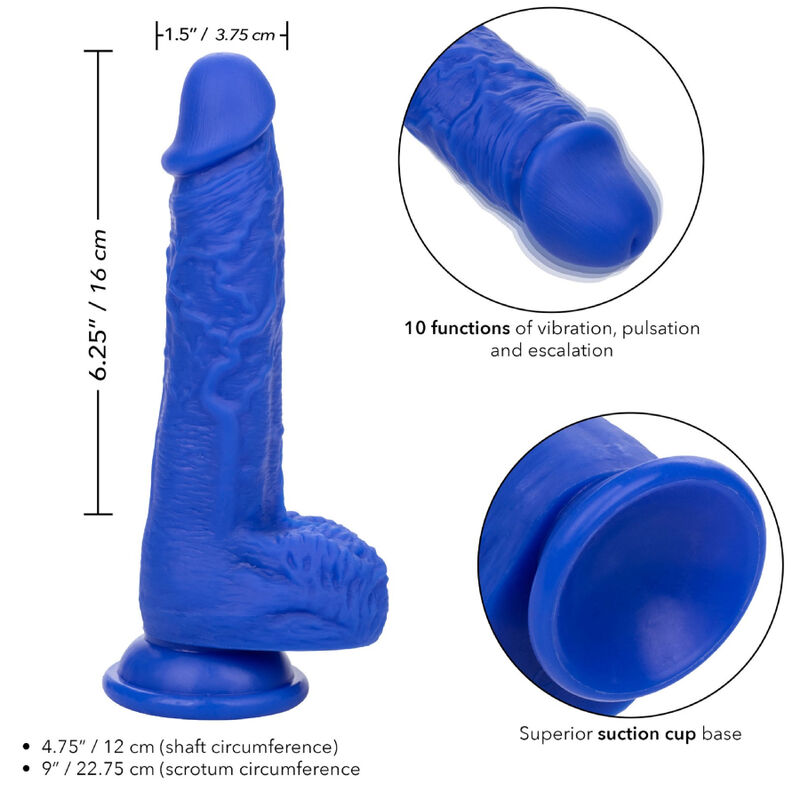 Calexotics Admiral Sailor Realistic Dildo Vibrator - 4