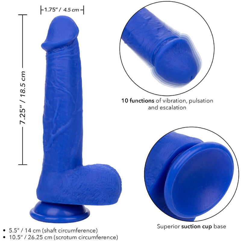 Calexotics Admiral Captain Realistic Dildo Vibrator - 4