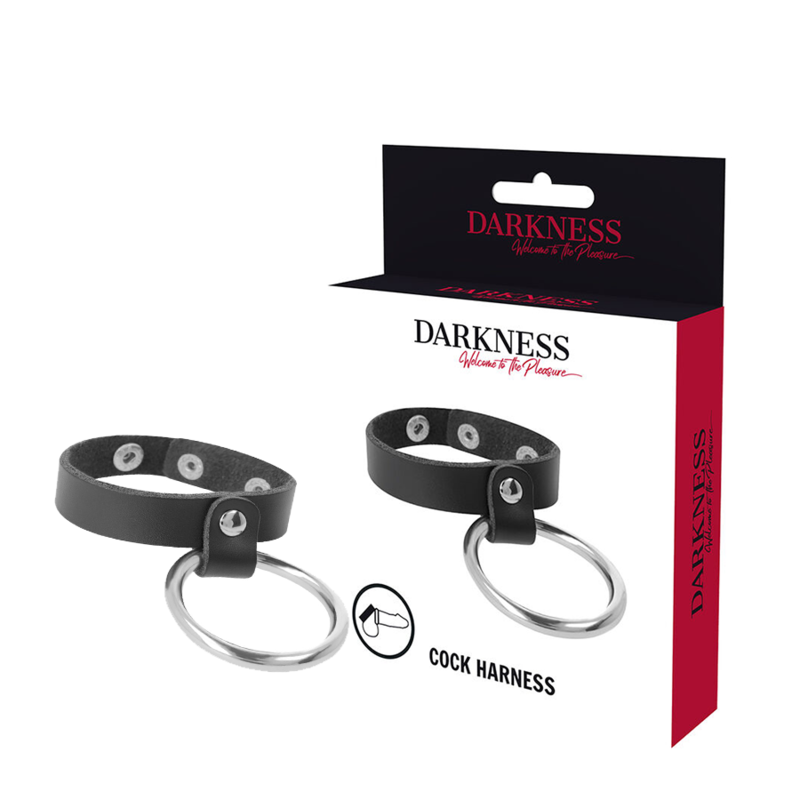Darkness Bondage Metal Ring For The Penis And Testicles