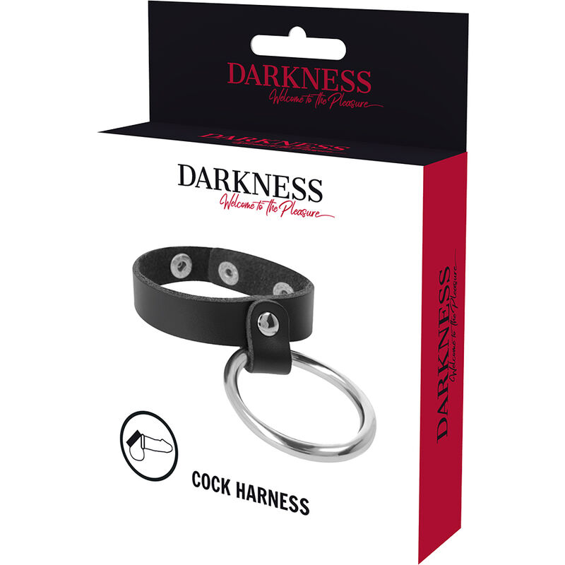 Darkness Bondage Metal Ring For The Penis And Testicles - 5