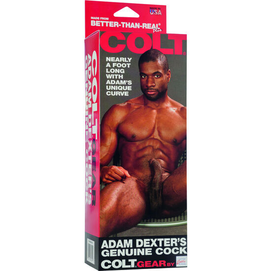 Calexotics Colt Adam Dexters Cock - 2