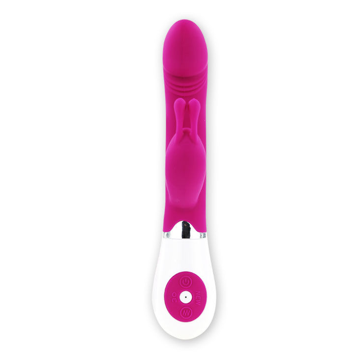 High Tech Pretty Love Flirtation Vibrator With Rabbit Gene - 4