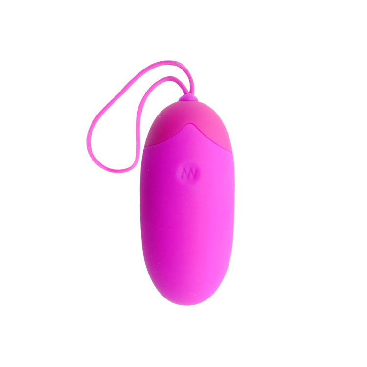 Remote Control Pretty Love Egg Berger Remote Control 12 V - 3