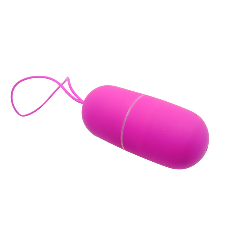 Remote Control Pretty Love Vibrating Egg Arvin Remote Control 12V - 3