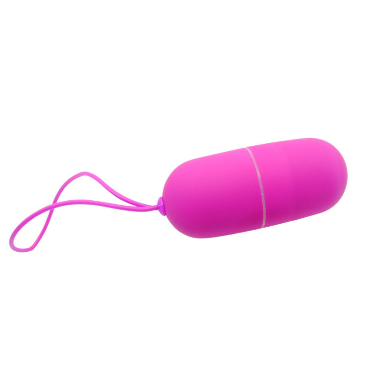 Remote Control Pretty Love Vibrating Egg Arvin Remote Control 12V - 4