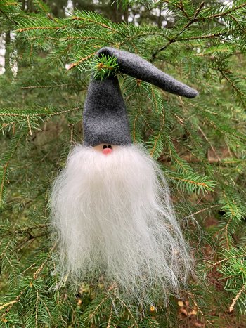 Grantomte Grå Mössa Islandsfår Vitt Skägg
