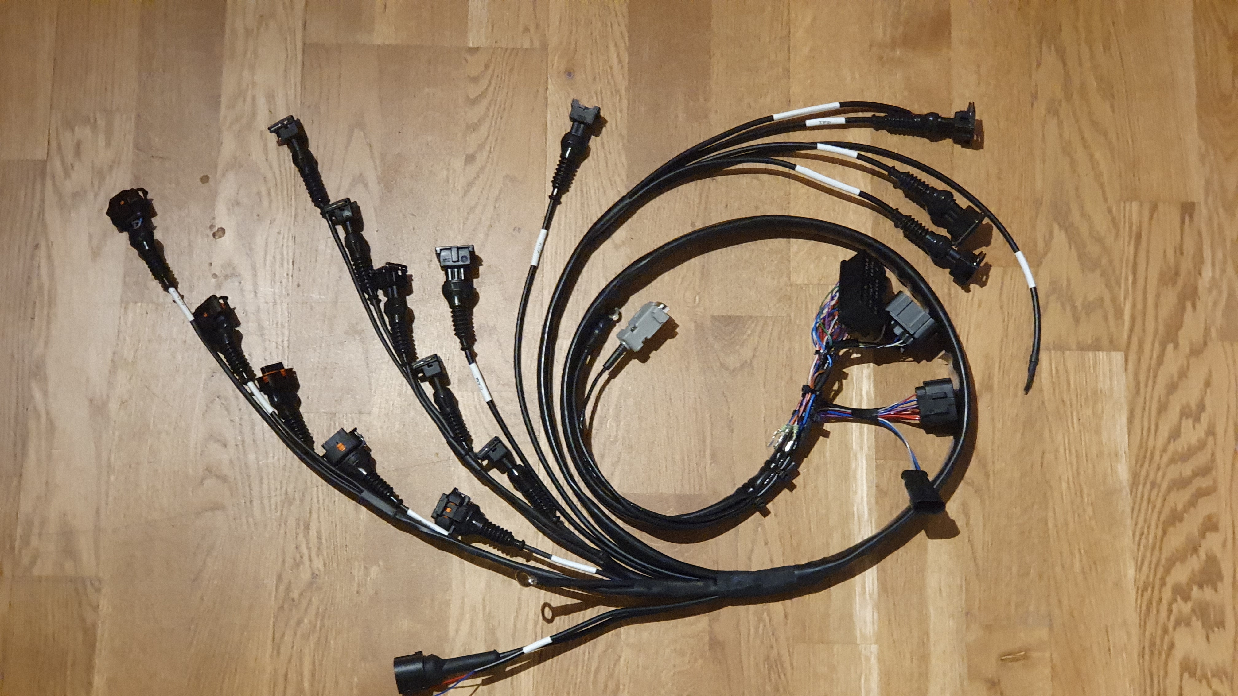 V6 och V8 Custom MaxxECU kabelhärva - 3