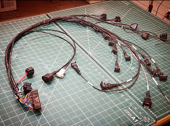 VEMS 3.8 inc Custom cable tie