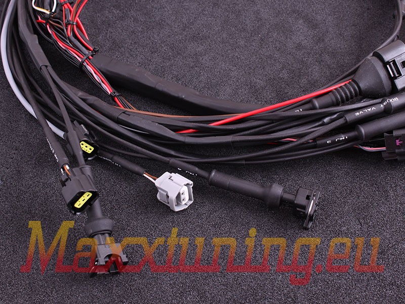 MaxxECU fabrikshärva för Volvo Vitmotor 4-6cyl - 3