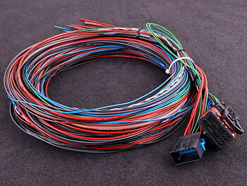  MaxxECU SPORT kabelhärva 3m