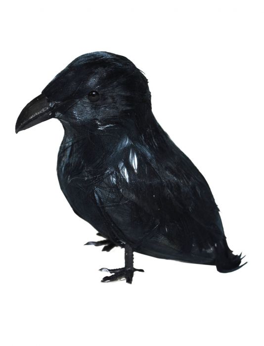 Realistic Crow, 9cm black 