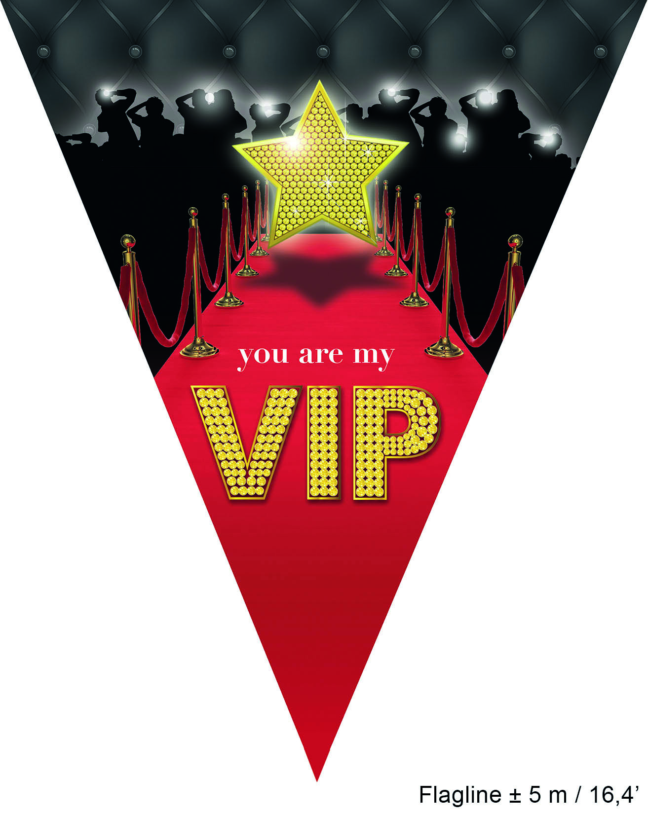 Flaggbanner VIP Party , 5 m