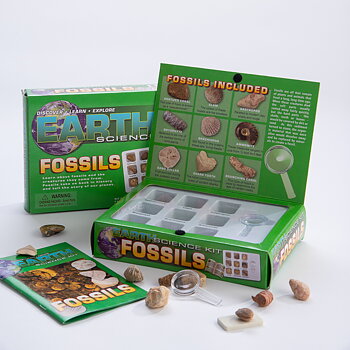 Lär om fossiler– Utforskarkit