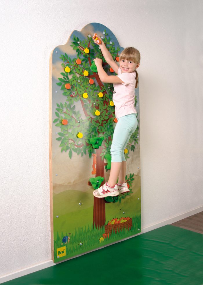 Climbing Wall Apple Tree