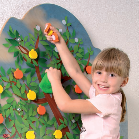 Climbing Wall Apple Tree