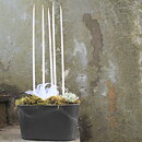 Flowercandles thin and long 38cm