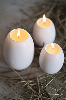 GÅSÄGG vita med gula i