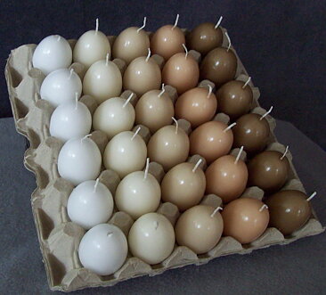 Eggs coloured CHICKEN