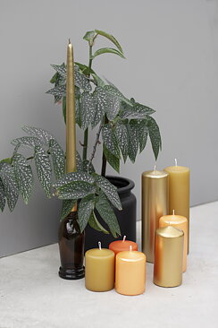 Pillar 6x20cm shiny