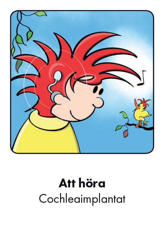 Minnesspel med funkisfokus - 6