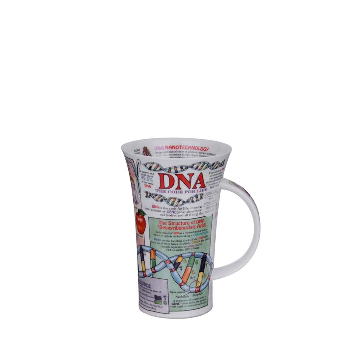 Kunskapsmugg DNA
