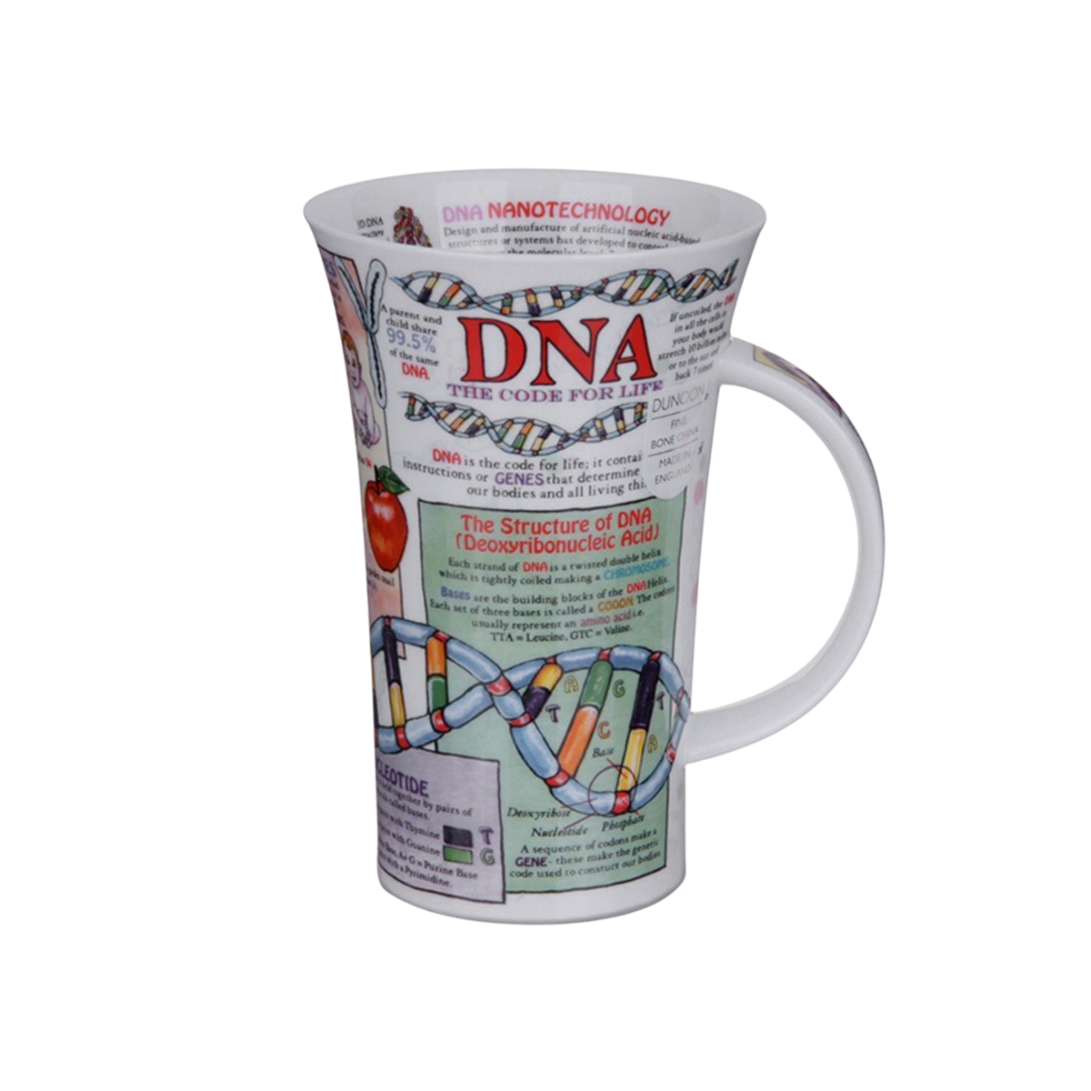 Kunskapsmugg DNA - 2
