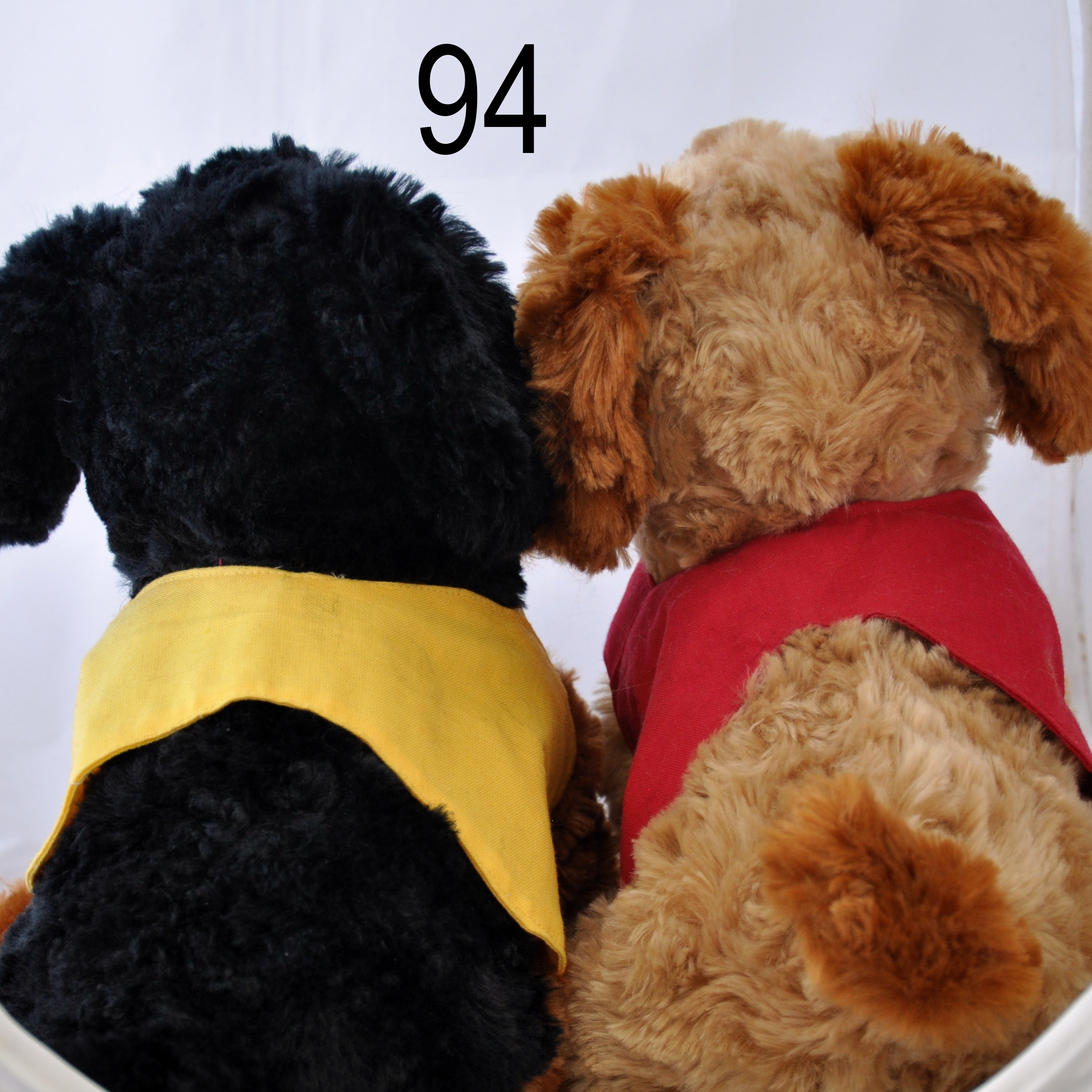 Hund signalhund - 5