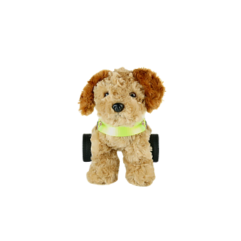 Hund amputerade bakben
