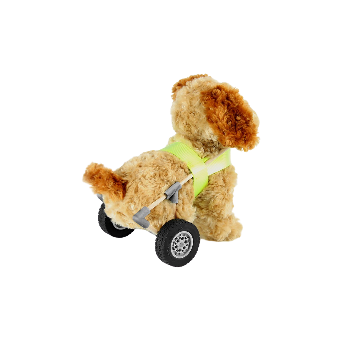 Hund amputerade bakben - 3