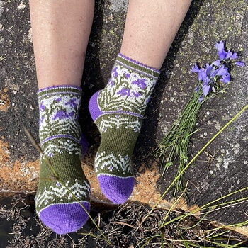 Socka Blåklocka