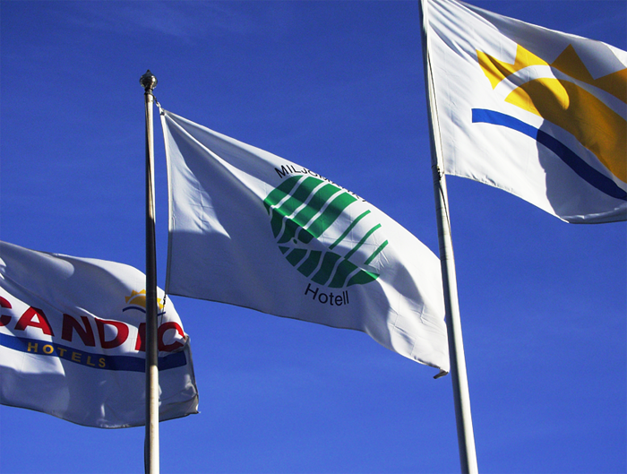 Digitaltryckt flagga 240x150 cm (passande 9-10 m stång) - 2