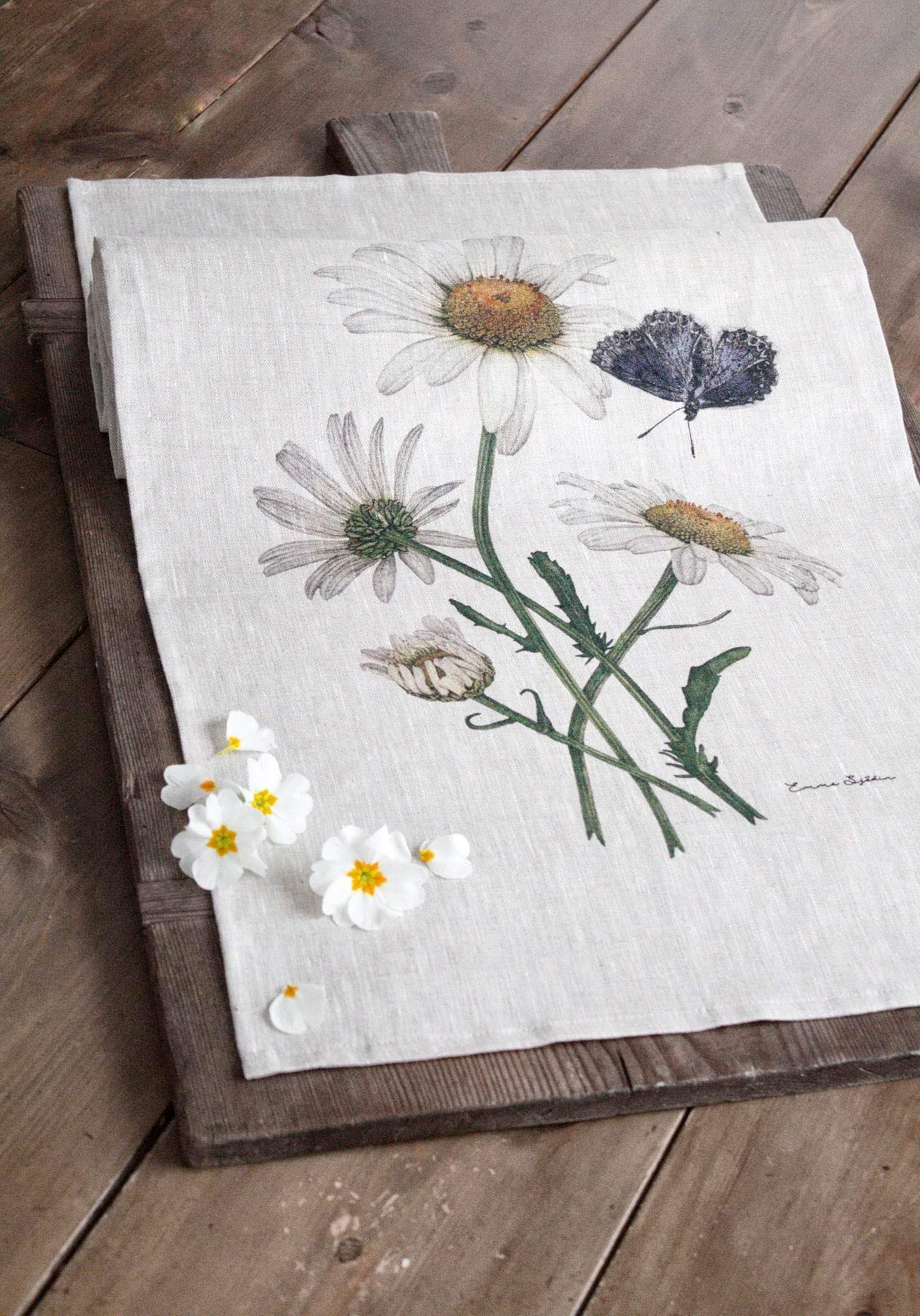 RUNNER DAISIES - 5