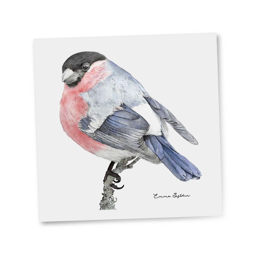 GIFTCARD  BULLFINCH