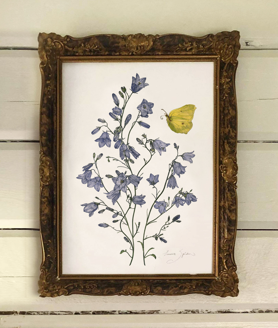 "SET" 2-PIECE ART PRINT BELLFLOWERS  30x40 & 21X30 - 2