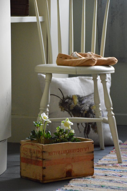 2-PIECE CUSHION BUMBLEBEE/WILD ROSE - 9