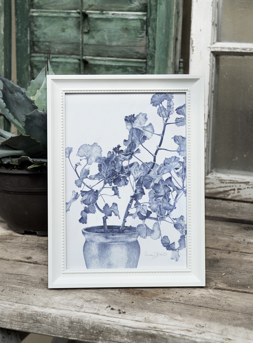 Store Cyanotype Geranium Art, 7x10, Original Geranium Blue Print