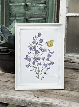 ART PRINT BELLFLOWERS 21x30