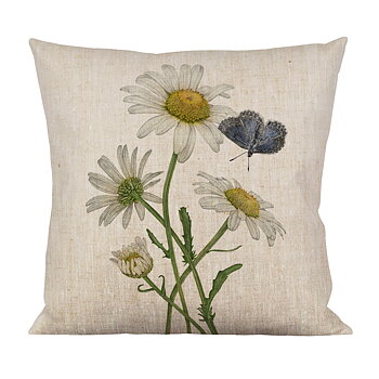 CUSHION DAISIES/BUTTERFLY