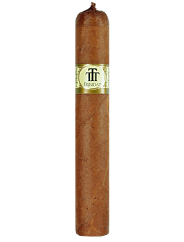 Trinidad Vigia