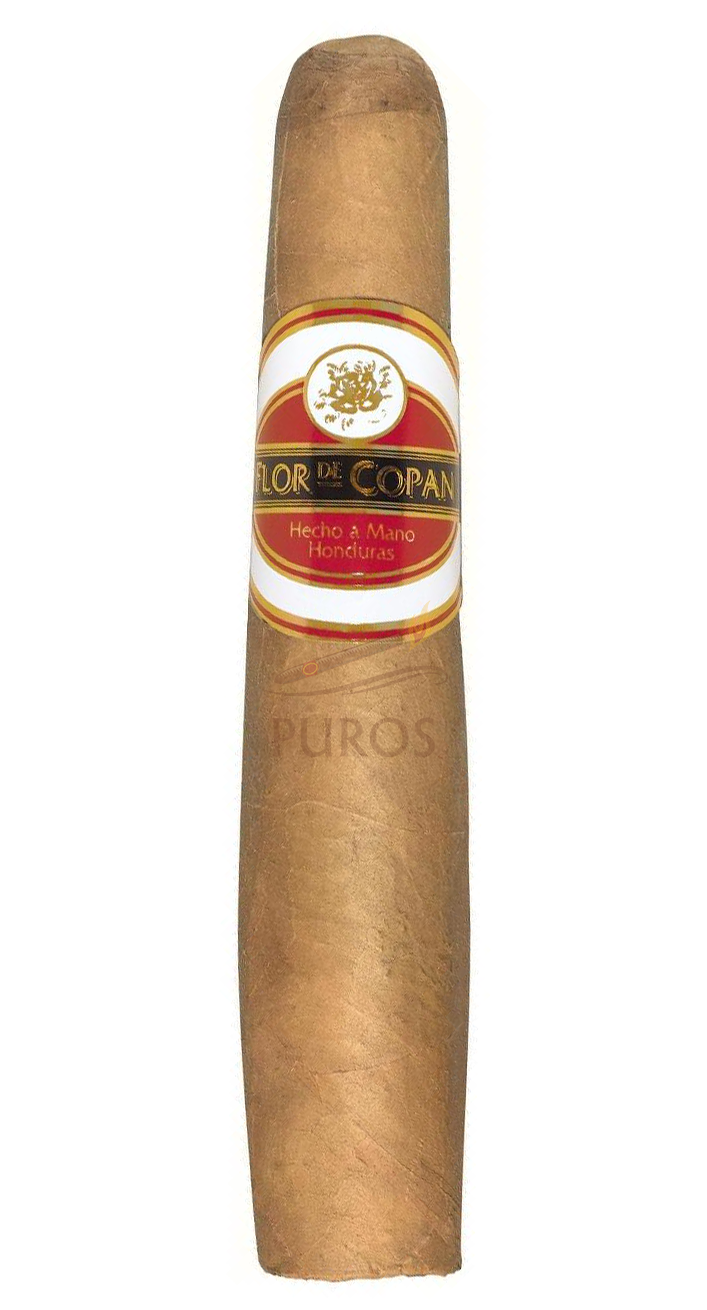 Flor De Copan Gordito