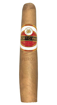 Flor De Copan Gordito