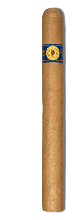 Santa Damiana Churchill